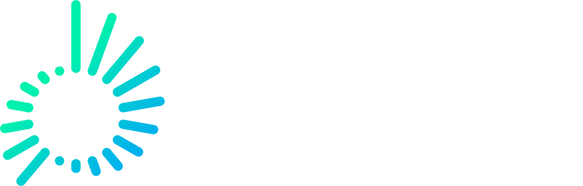 MASTERNAUT-MICHELIN-LOGO-HOR-RGB-W_240619